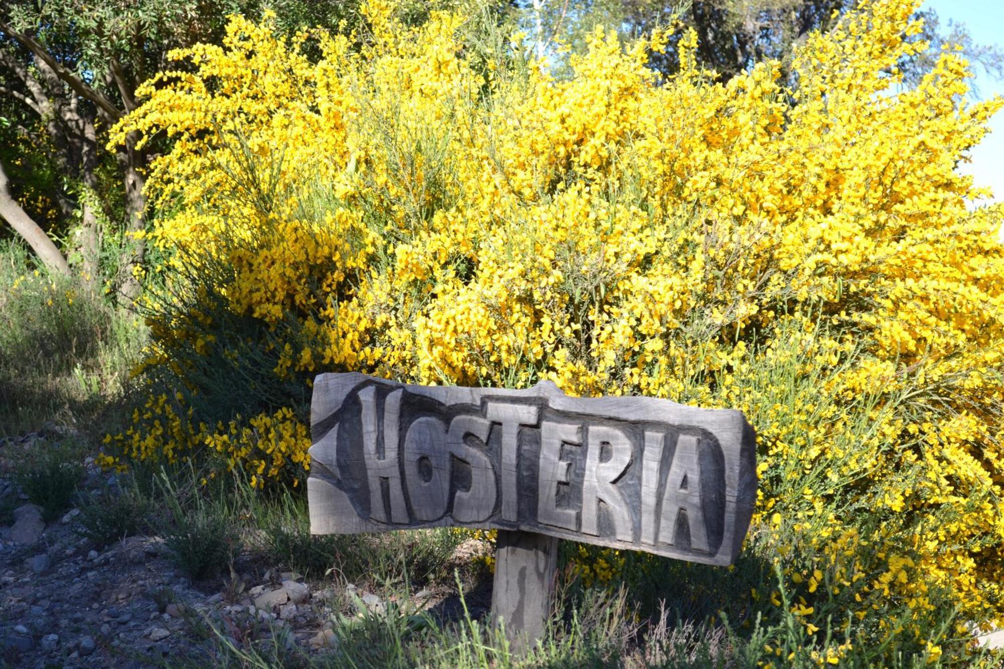Sieteflores Hosteria De Montana San Martin de los Andes Bagian luar foto